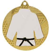 Goldmedaille Judo/Karate