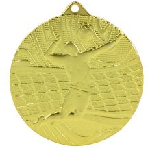 Goldmedaille – Volleyball – Stahlmedaille