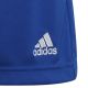 6. Adidas Entrada 22 Short Y Jr HG6291 Shorts