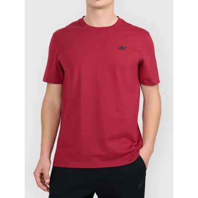 Herren-T-Shirt mit Aufdruck 4F 4FWAW26TTSHM3578-61S