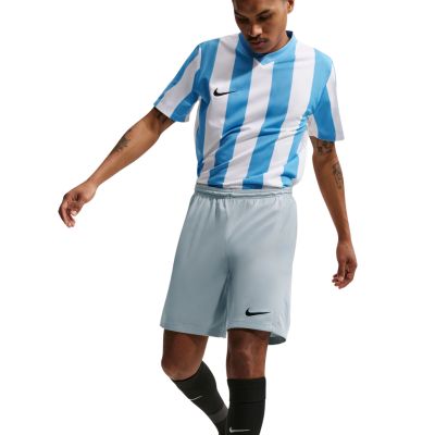5. Herren-Shorts Nike Dry Park III NB K, hellgrau, BV6855 012