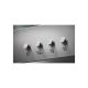 80. ELECTROLUX LFC316X Kaminhaube