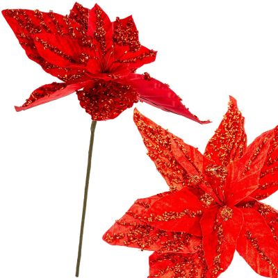 2. Stern von Bethlehem 30 cm