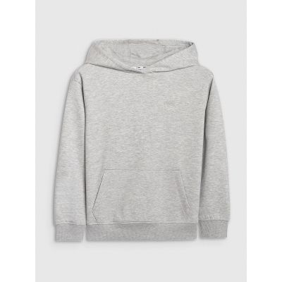 6. Jungen-Sweatshirt mit Kapuze, offen, 4F 4FJWMM00TSWSM1860-25M