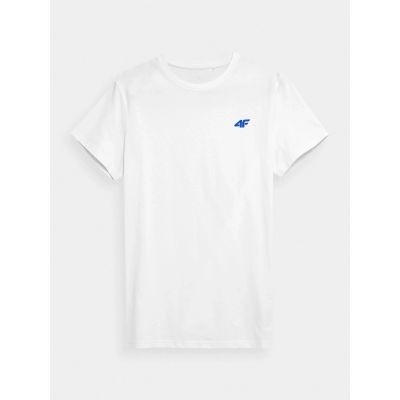 5. Herren-T-Shirt (3er-Set) 4F 4FWSS26TTSHM4479-90S