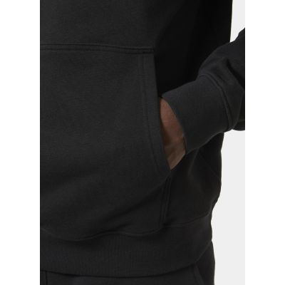 9. Helly Hansen Core Graphic Sweat Hoodie M 53924 993