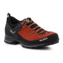 Salewa MS MTN Trainer 2 GTX M Schuhe 61356-7519