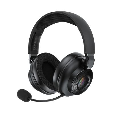 Acefast H15 Kabelloses Bluetooth-/2,4-GHz-/AUX-Gaming-Headset mit Mikrofon und RGB-Hintergrundbeleuchtung – Schwarz