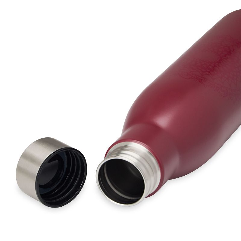 3. GAIAM EASY-GRIP TRINKFLASCHE CHERRY MARRAKESH 740ML 66325