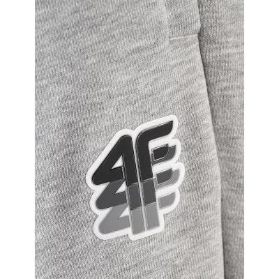 8. Herren-Jogginghose 4F 4FRAW26TTROM2176-27M