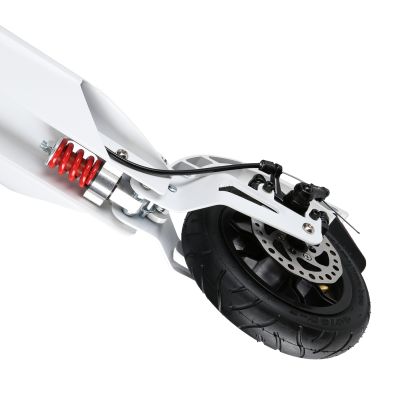 14. HM209T WEISS-GOLD ROLLER MIT SCHEIBENBREMSE NILS EXTREME