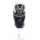 4. Tempish Rixy 70 Jr verstellbare Schlittschuhe 1300000837