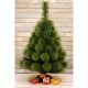5. Weihnachtsbaum-Linie Klara Ungeteilt 70 cm