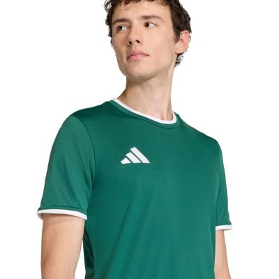 5. adidas Entrada 26 Herren-Trikot grün KE9832