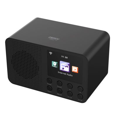 3. CAMRY CR 1918 Wi-Fi-Radio