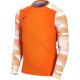 4. Nike Dry Park IV JSY LS GK Jr CJ6072-819