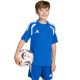 8. adidas Tiro 26 Ligatrikot Blau KB1314