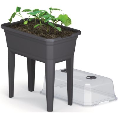 47. Stehendes Gewächshaus-Saatbeet Respana Set Ecoline 59,6 x 36,8 x 75,3 cm Anthrazit