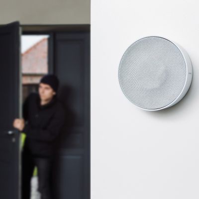 6. Intelligenter Hausalarm NETATMO