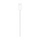 9. Apple MagSafe Ladegerät (2 m)