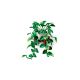 5. LEGO Botanische Kollektion 11512 – Hängendes Gold-Epipremnum