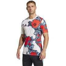 adidas FC Bayern Pre-Match JSY M JE6776 T-Shirt