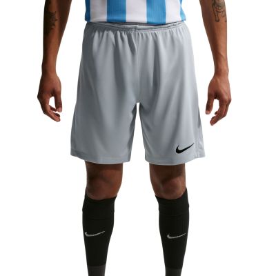 Herren-Shorts Nike Dry Park III NB K, hellgrau, BV6855 012