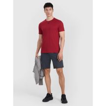 Schnelltrocknende Trainingsshorts für Herren 4F 4FWMM00TFSHM1310-22M