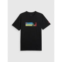 Herren-T-Shirt mit Aufdruck, regulär, Größe 4F 4FWSS26TTSHM3335-20S