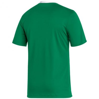 2. adidas Entrada 22 Trikot M HI2123