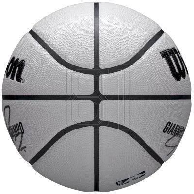 4. Wilson NBA Player Icon UV Bskt Giannis Basketball WZ4030901XB