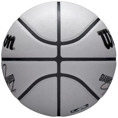 4. Wilson NBA Player Icon UV Bskt Giannis Basketball WZ4030901XB