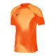 Nike Dri-FIT ADV Gardien 4 M DH7760-819 goalkeeper jersey