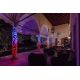 3. Twinkly Strings – 250 RGB+W Lichterkette, transparentes Kabel, Steckertyp F