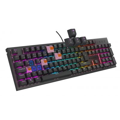 8. GENESIS NKG-2179 Gaming Tastatur USB QWERTZ Deutsch Schwarz