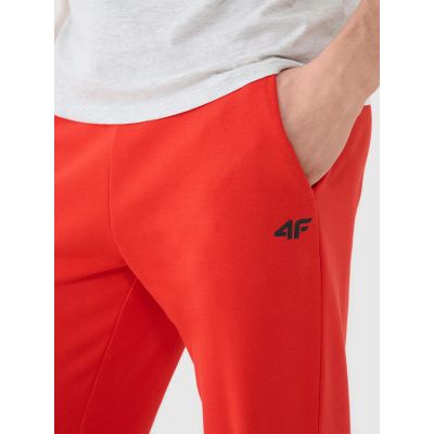 2. Herren Jogger Sweatpants 4F 4FWMM00TTROM1139-62S