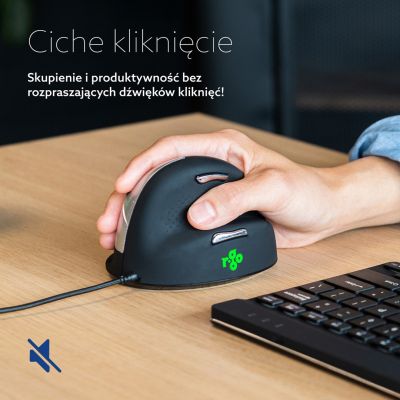 13. Ergonomische Maus für Rechtshänder R-Go Pele HE USB groß schwarz/silber (Einzelhandel)
