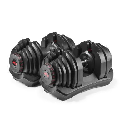 17. Bowflex Select Tech 1090I Hanteln 