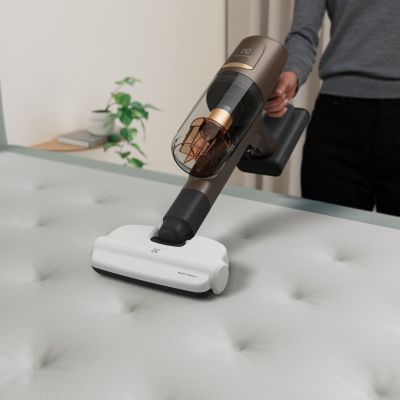 2. Electrolux ZE149 Bürsten-Handstaubsauger