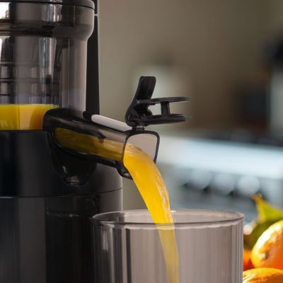 23. ELDOM Slow Juicer PJ350 250 W Schwarz Zwei Filter Neue Generation Schwerlastpresse