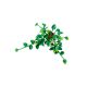 4. LEGO Botanische Kollektion 11512 – Hängendes Gold-Epipremnum