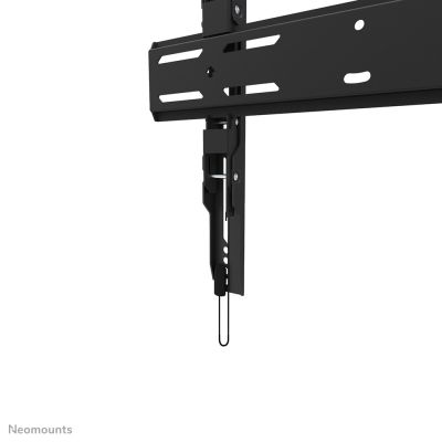 12. WL30S-850BL14 NEOMOUNTS TV-Wandhalterung
