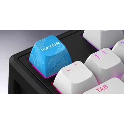 7. HATOR Skyfall 65 MAG ULTRA 8K Gaming-Tastatur USB QWERTY US Englisch Schwarz, Weiß