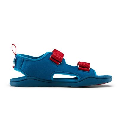 6. Affenzahn Sandale Chamude Airy Shark Jr 00392-30009
