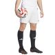 3. adidas Fortore 23 M IK5761 Shorts