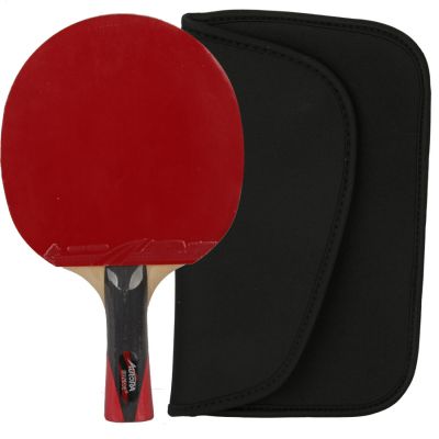 2. Tischtennisschläger Aurora PRO 4* SG 4002