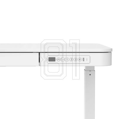 13. Urevo Spacewalk 3S treadmill + Tuckano URTM024+BIUBI electrically adjustable desk