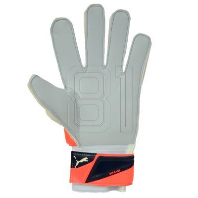 3. PUMA EVO POWER GRIP 2 AQUA TORWARTHANDSCHUHE 41145 30