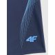 2. Herren-Badehose 4F 4FWSS26USWTM073-20S