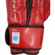 8. MASTERS RPU-FT Boxhandschuhe (WAKO-GENEHMIGT)
